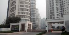Avaialble Residental Property For lease IN Palm Drive  , Gurgaon